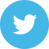 Share twitter